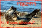 Thumbnail of a stretching seal postcard.