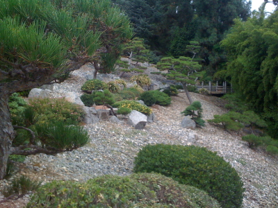 A Japanese rock garden.