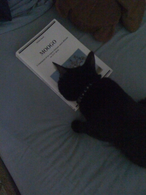 NOM NOM NOM! Keli getting cosy with a book.