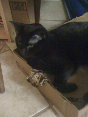 But I can put myself there. Keli in her box.