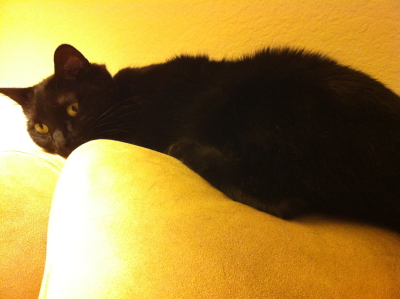Keli reclining.