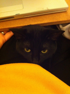 Keli below the laptop.