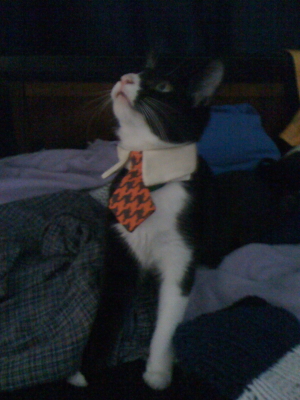 My little Okeo with his tie.