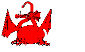 A fire-breathing dragon!